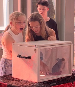 Треш-коробка